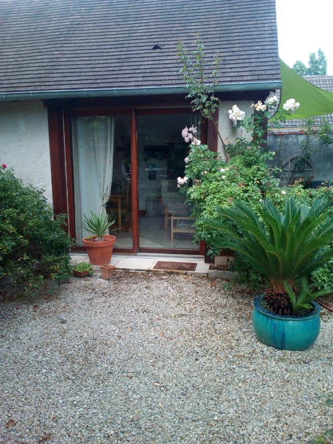 L'Orme Seul, Maison D'Hotes Vineuil  Exteriér fotografie