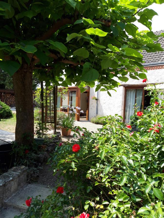 L'Orme Seul, Maison D'Hotes Vineuil  Exteriér fotografie