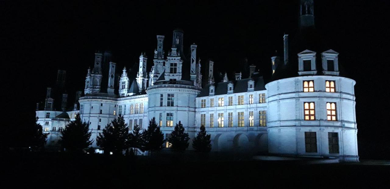 L'Orme Seul, Maison D'Hotes Vineuil  Exteriér fotografie