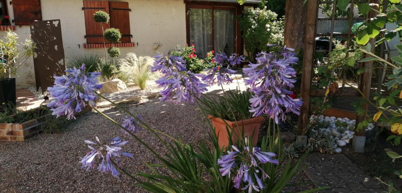 L'Orme Seul, Maison D'Hotes Vineuil  Exteriér fotografie