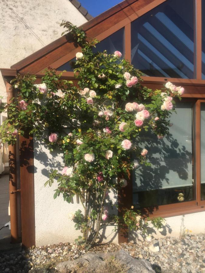 L'Orme Seul, Maison D'Hotes Vineuil  Exteriér fotografie